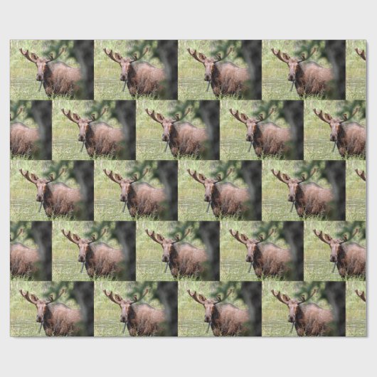 Elchverpackungspapier Geschenkpapier (Flach)