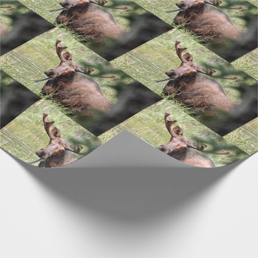 Elchverpackungspapier Geschenkpapier (Ecke)