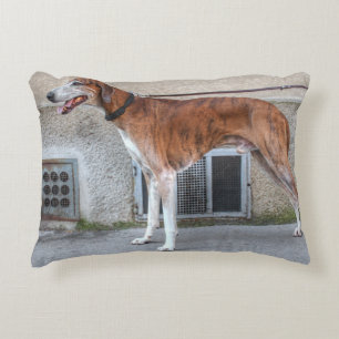 Elder Brindle Greyhound Dekokissen