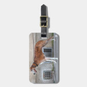 Elder Brindle Greyhound Gepäckanhänger (Vorderseite vertikal)