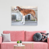 Elder Brindle Greyhound Leinwanddruck (Insitu (Wohnzimmer))