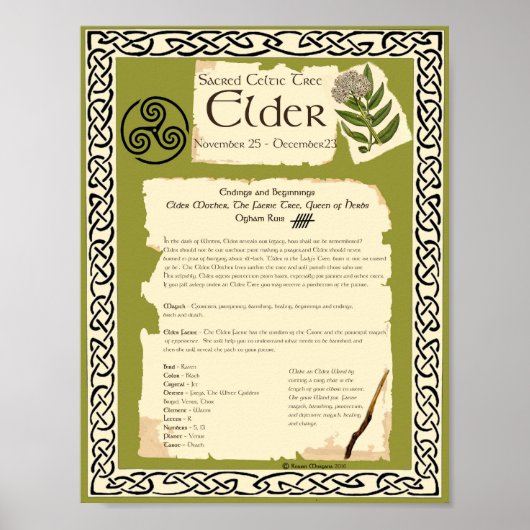 ELDER CELTIC SACRED TREE POSTER (Vorne)