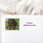Elderberries mit eigenen Lebensmitteletiketten (Insitu)