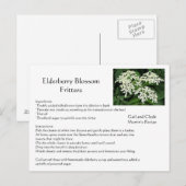 Elderberry Blossom Fritters Postkarte (Vorne/Hinten)