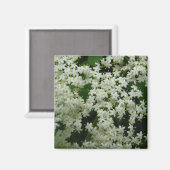 Elderberry Blossoms Magnet (Vorderseite/Rückseite)