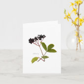 Elderberry Karte (Gelbe Blume)