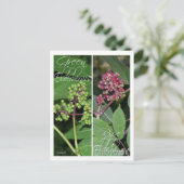 ELDERBERRY LESEZEICHEN POSTKARTE (Stehend Vorderseite)