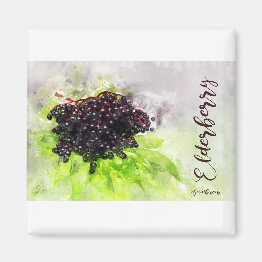 Elderberry Magnet (Vorne)