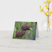 Elderberry Notecard Karte (Gelbe Blume)
