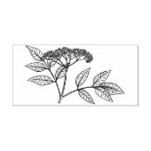 Elderberry plant  Rubber stamp Gummistempel (Prägung)