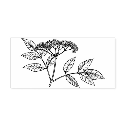 Elderberry plant Rubber stamp Gummistempel (Prägung)