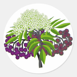 Elderberry Runder Aufkleber