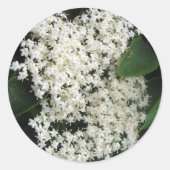 Elderflower Runder Aufkleber (Vorderseite)