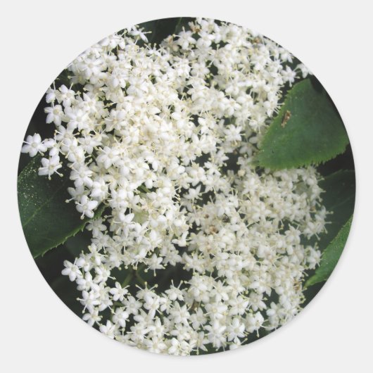 Elderflower Runder Aufkleber (Vorderseite)