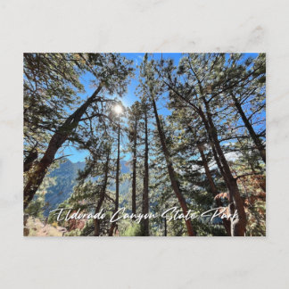 Eldorado Canyon, CO Postcard Postkarte