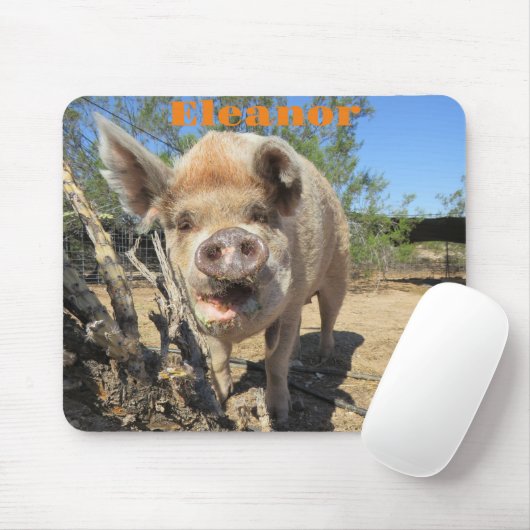 Eleanor Mousepad (Mit Mouse)