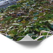 Eleanor Roosevelt Monument Poster (Ecke)