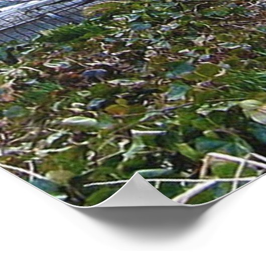 Eleanor Roosevelt Monument Poster (Ecke)