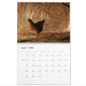 Eleanor Sweeney Fotografy 12 - 24 Month Calendar Kalender (Mär 2026)