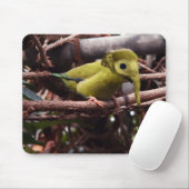 Elebird mousepad (Mit Mouse)