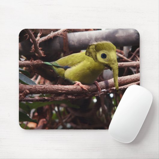 Elebird mousepad (Mit Mouse)