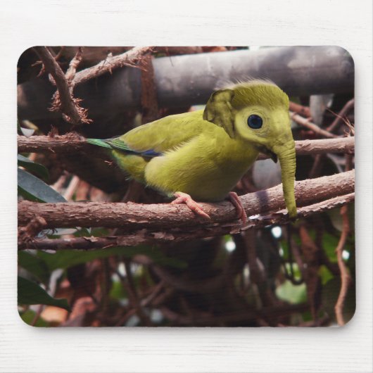 Elebird mousepad (Vorne)