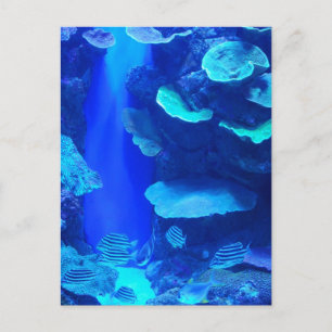 Electric Blue Fish Postcard Postkarte
