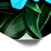 Electric Blue Flowers Poster (Ecke)