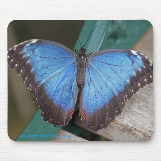 Electric Blue Mousemat Mousepad (Vorne)