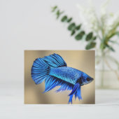 Electric Blue Siamese Fighting Fish Postkarte (Stehend Vorderseite)