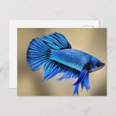 Electric Blue Siamese Fighting Fish Postkarte (Vorne/Hinten)