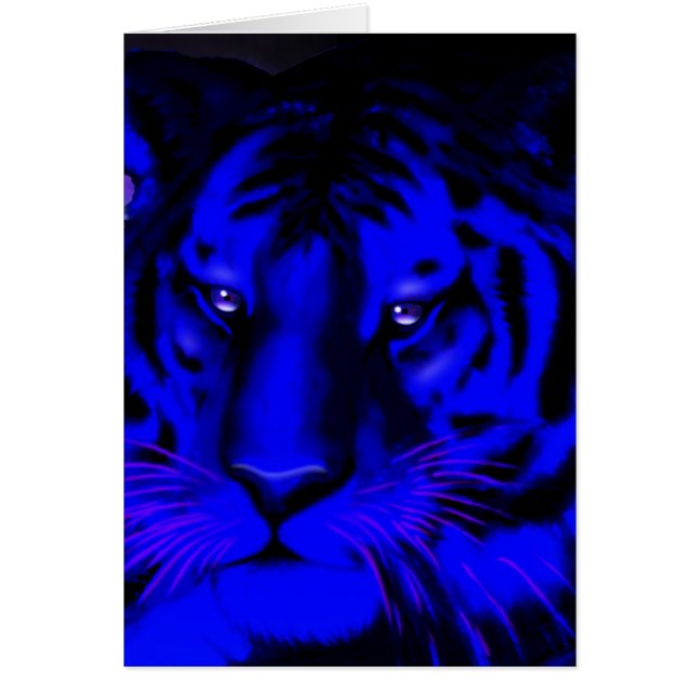 Electric Blue Tiger (Vorne)