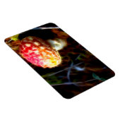 Electric Fly Agaric Kühlschrankmagnet (Amanita) Magnet (Rechte Seite)