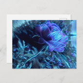 Electric Garden Rose Postkarte (Vorne/Hinten)