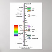 Electromagnetic Spectrum (Wavelengths Comparison) Poster (Vorne)