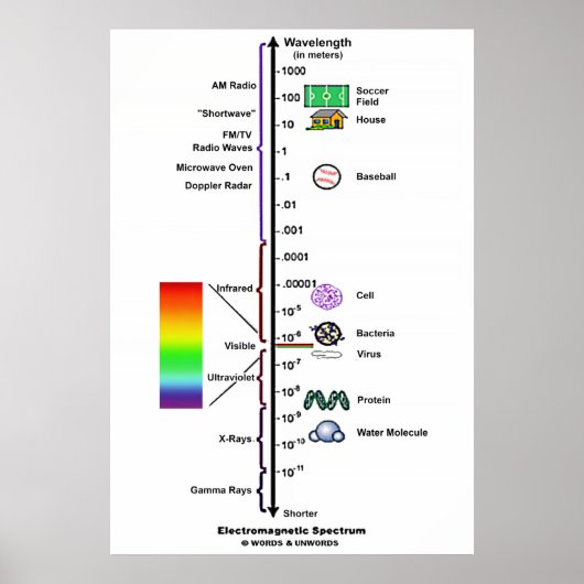 Electromagnetic Spectrum (Wavelengths Comparison) Poster (Vorne)