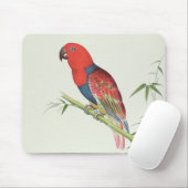 Electus Papagei, auf einem Bambusschoß Mousepad (Mit Mouse)