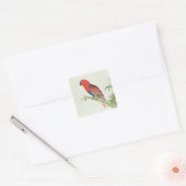 Electus Parrot, auf einem Bambusschoß Quadratischer Aufkleber (Umschlag)