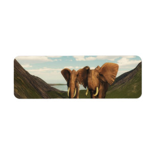 Elefant