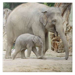 Elefant20151001 Fliese