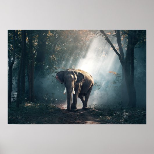 Elefant-1822636 Poster (Vorne)