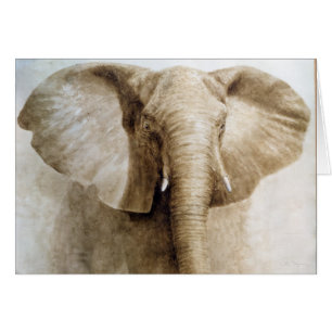 Elefant 2004