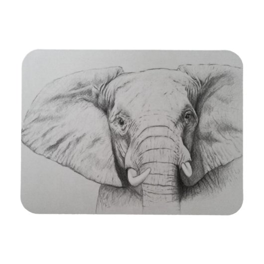 Elefant 2011 magnet (Horizontal)