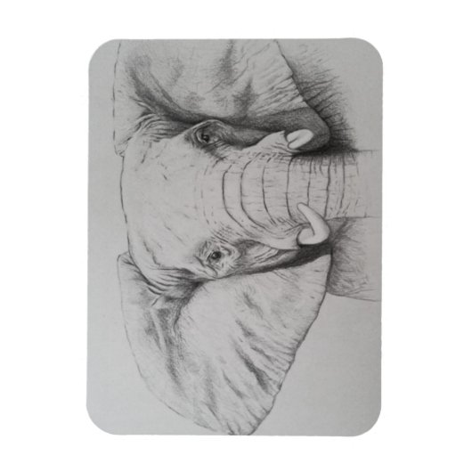 Elefant 2011 magnet (Vertikal)