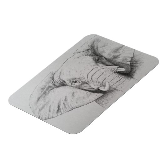 Elefant 2011 magnet (Linke Seite)