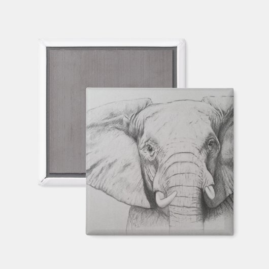 Elefant 2011 magnet (Vorderseite/Rückseite)