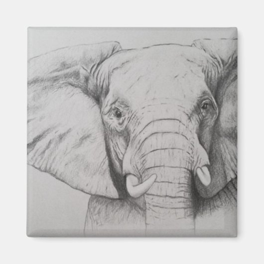 Elefant 2011 magnet (Vorne)