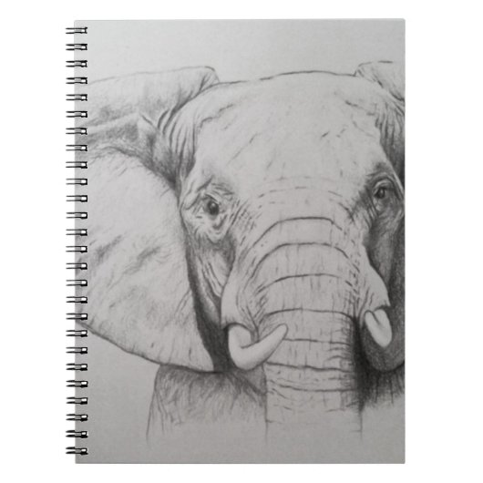 Elefant 2011 notizblock (Vorderseite)