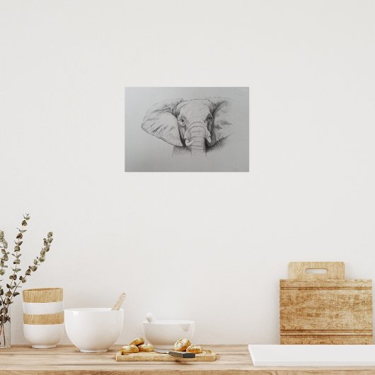 Elefant 2011 poster (Küche)