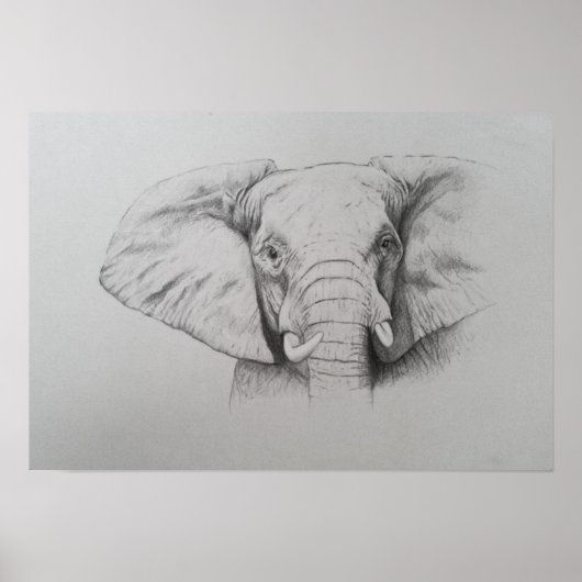 Elefant 2011 poster (Vorne)